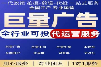 成功案例：sem竞价托管的智慧与策略